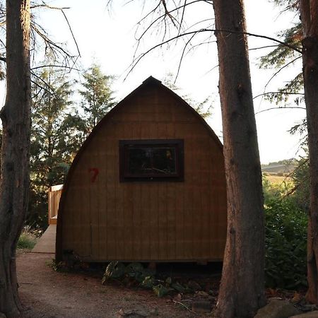 Hamilton Golf Lodge Экстерьер фото