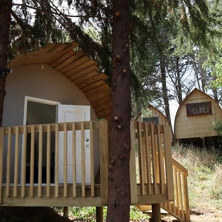 Hamilton Golf Lodge Экстерьер фото