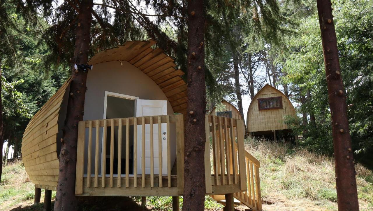 Hamilton Golf Lodge Экстерьер фото