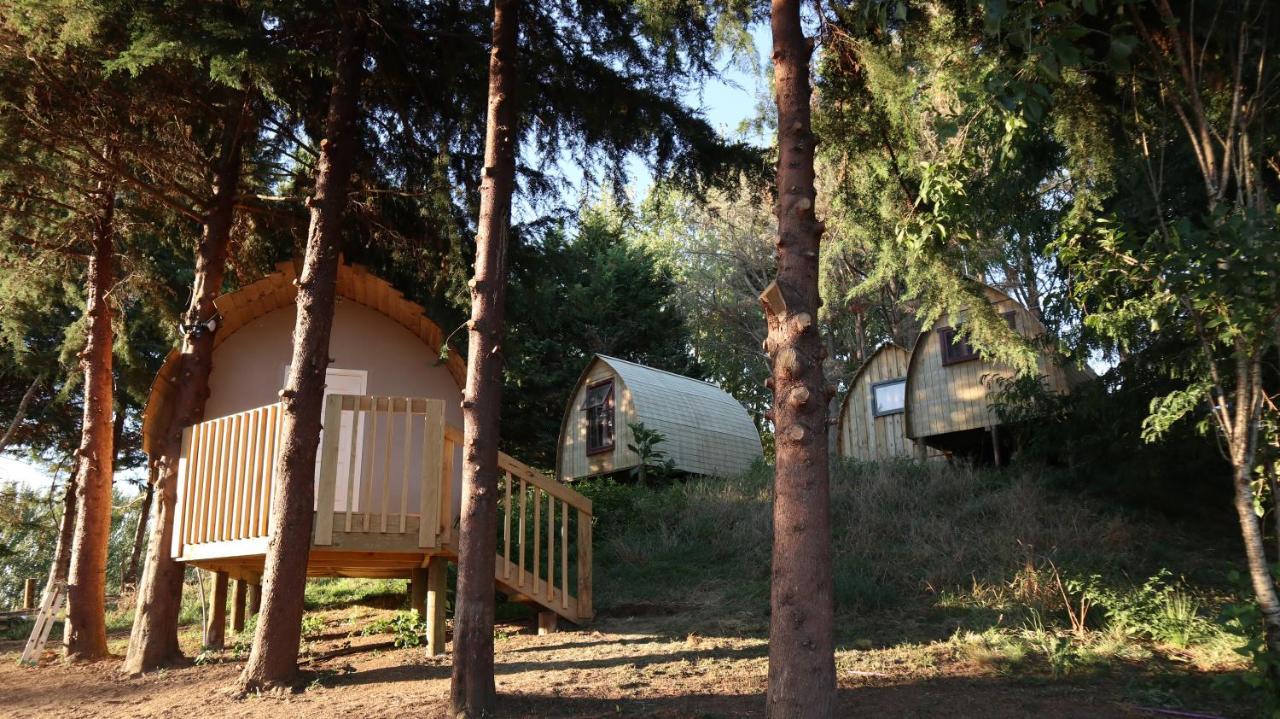 Hamilton Golf Lodge Экстерьер фото